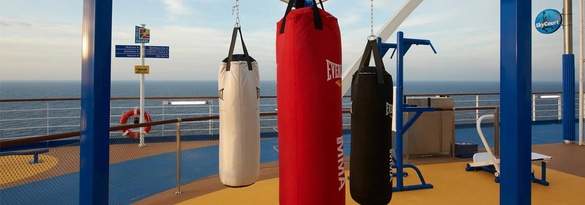 Carnival Cruise Line SkyFitness.jpg